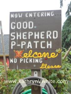 Good Shepard P-Patch Welcome Sign  www.kathrynVwhite.com