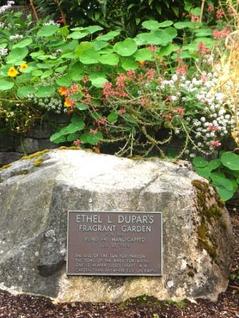 Ethel L. Dupar's Fragrant Garden Plaque--www.kathrynVwhite.com